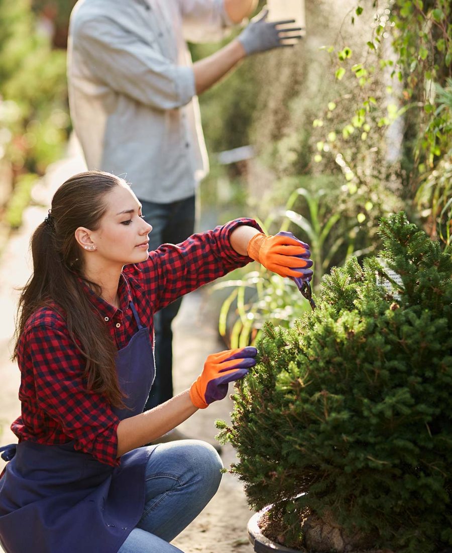 girl-gardener-dressed-in-apron-is-pruning-plants-i-2023-11-27-05-07-39-utc.jpg